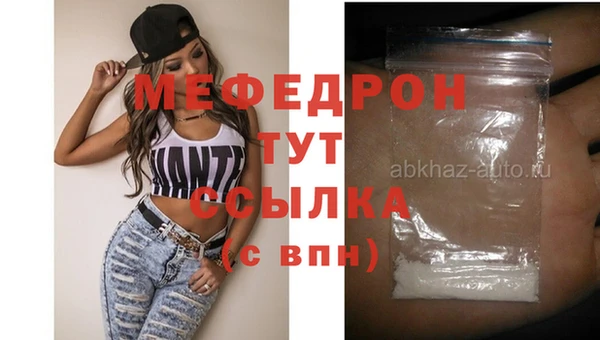 индика Няндома