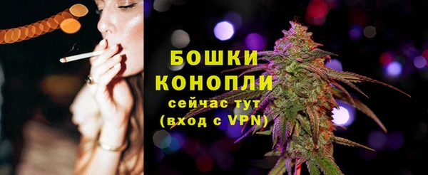дживик Новодвинск