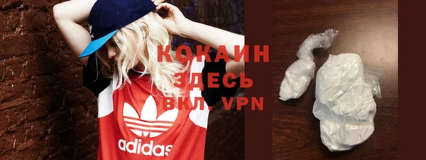 2c-b Новозыбков