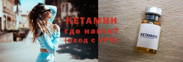 индика Няндома