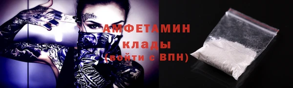 индика Няндома