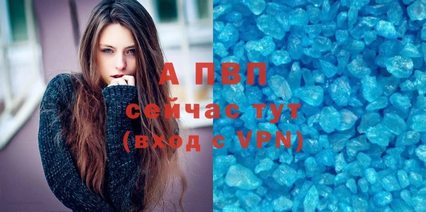дживик Новодвинск