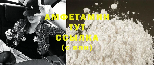 индика Няндома