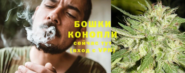 индика Няндома