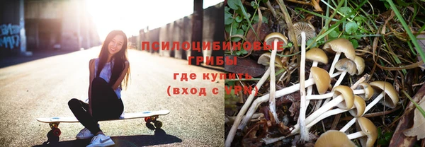 соль ск Новокубанск