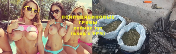 дживик Новодвинск