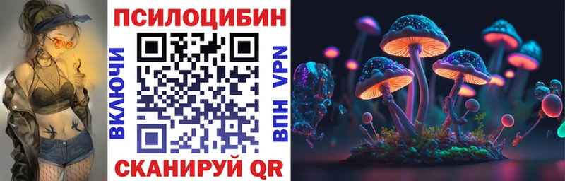сайты даркнета состав  Пласт  Псилоцибиновые грибы Psilocybe 
